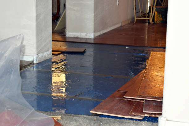 Professional Water Extraction technician working in Louviers, CO